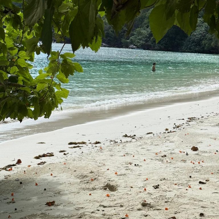 Beautiful tropical beach and clear turquoise water in Seychelles